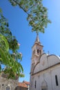 The bell tower of St. John\'s Church and blooming Lankaran Albizia on a sunny summer day, Jelsa, Croatia