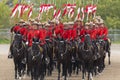 RCMP Musical Ride in Ancaster, Ontario