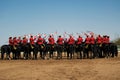 RCMP Musical Ride Review Royalty Free Stock Photo