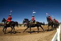RCMP Musical Ride Review Royalty Free Stock Photo