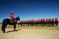RCMP Musical Ride Review Royalty Free Stock Photo