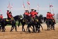 RCMP Musical Ride Review Royalty Free Stock Photo