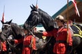 RCMP Musical Ride Review Royalty Free Stock Photo
