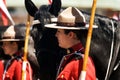 RCMP Musical Ride Review Royalty Free Stock Photo