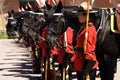 RCMP Musical Ride Review Royalty Free Stock Photo