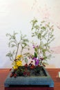 Flower arrangement art exhibition