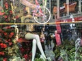 The 43rd Macys Flower Show in New York in 2017