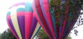 Rdouble trouble pink and puple hot air balloon