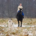 Re-enactment of the traditional hunting with russian wolfhounds Royalty Free Stock Photo