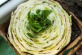 Re-seedling of Beijing cabbage in peat containers