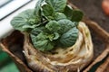 Re-seedling of Beijing cabbage in peat containers Royalty Free Stock Photo