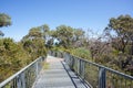 Reabold Hill: Canopy Walk Royalty Free Stock Photo