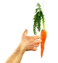 Reaching for the carrot