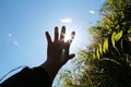 reach out to catch the sun Royalty Free Stock Photo