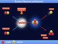 Reaction of Deuterium with Deuterium