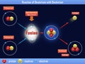 Reaction of Deuterium with Deuterium