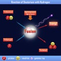 Reaction of Deuterium with Hydrogen