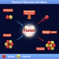 Reaction of Deuterium with Lithium