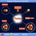 Reaction of Deuterium with Lithium