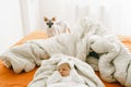 The reaction of a domestic cat to a newborn baby. The cat of the Don Sphynx looks attentively at the new member of the family.