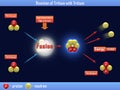 Reaction of Tritium with Tritium