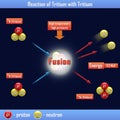 Reaction of Tritium with Tritium