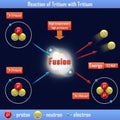 Reaction of Tritium with Tritium