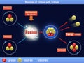 Reaction of Tritium with Tritium