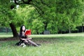 Read a book sitting under a blossom tree Royalty Free Stock Photo