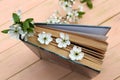 On a wooden table lies a book with spring cherry blossoms.