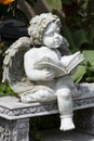 Reading angel Royalty Free Stock Photo