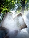 Reading a book under trees