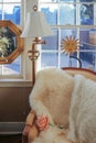 Reading corner - comfortable chair with fur throw and a rose by windows and lamp with happy sun and mirrow decor behind and