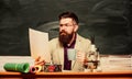 Reading essay. Handsome teacher relaxing. Teacher bearded man drinking tea chalkboard background. Self care and life Royalty Free Stock Photo