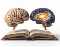 Inactive brain on the left versus an expanded active brain due to reading. Royalty Free Stock Photo
