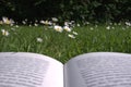 Reading in the grass