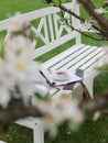 Reading magazine and drinking tea on a white bench in the garden under a blooming apple tree Royalty Free Stock Photo