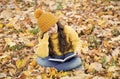 Reading really matters. Little child read book sitting on fall leaves. School library. Knowledge and informaiton