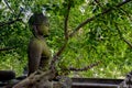 Beautiful temple on the tree for meditation