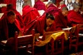 Reading monks of Drepung Monastery Lhasa Tibet
