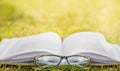 Reading in the open air. Outdoor recreation reading a book. Royalty Free Stock Photo