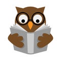 Reading owl education concept