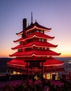 Reading Pagoda At Night