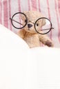 Reading Teddy Bear With Glasses