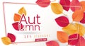 Autumn Seasonal Discount Card and Vector Web Banner