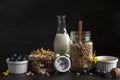 Ready breakfast Ã¢â¬â granola, muesli with fresh ripe blueberry, honey, multigrain cakes, white chocolate and milk. Close-up, useful