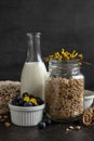 Ready breakfast Ã¢â¬â granola, muesli with fresh ripe blueberry, honey, multigrain cakes, white chocolate and milk. Close-up, useful