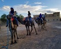 Ready for a Camel Trek in Sahara to see the Sunset!