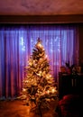 Almost ready Christmas Tree Royalty Free Stock Photo