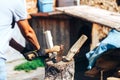 Ready for cutting timber. Close-up of axe cutting log while other logs laying in the background Royalty Free Stock Photo